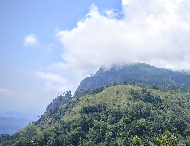 Mini Adams Peak & Ella Rock