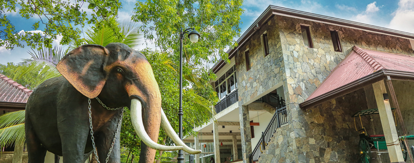 Facade View of Oak Ray Elephant Lake