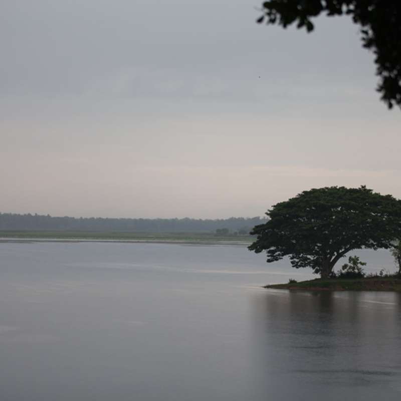 View of Thissa Lake from Oak Ray Lake Resort Tissamaharama