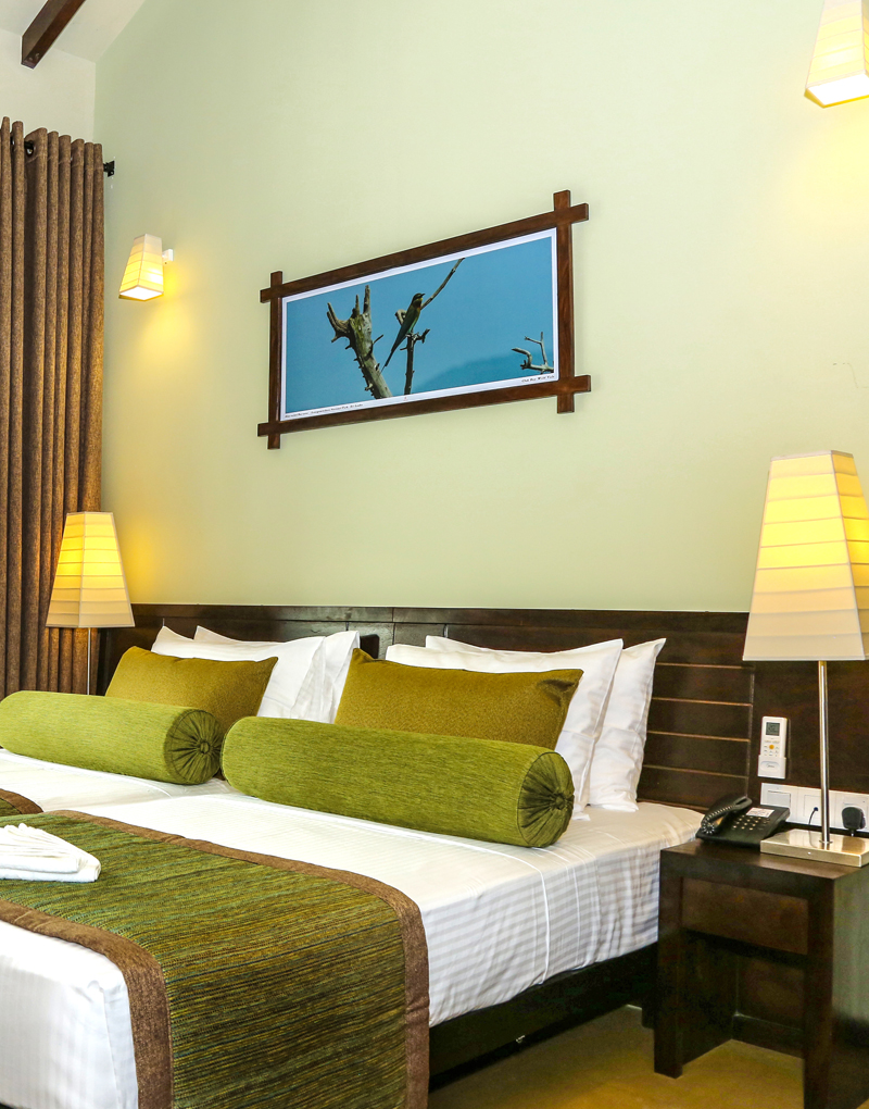 Comfortable Deluxe Double Rooms